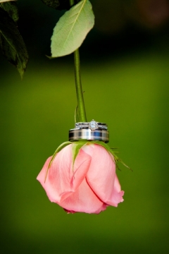 marriage-rings-colorado