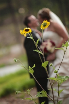 modern-wedding-photographer